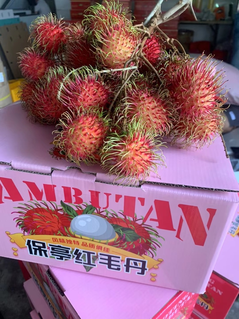 海南保亭红毛丹，有称为毛荔枝