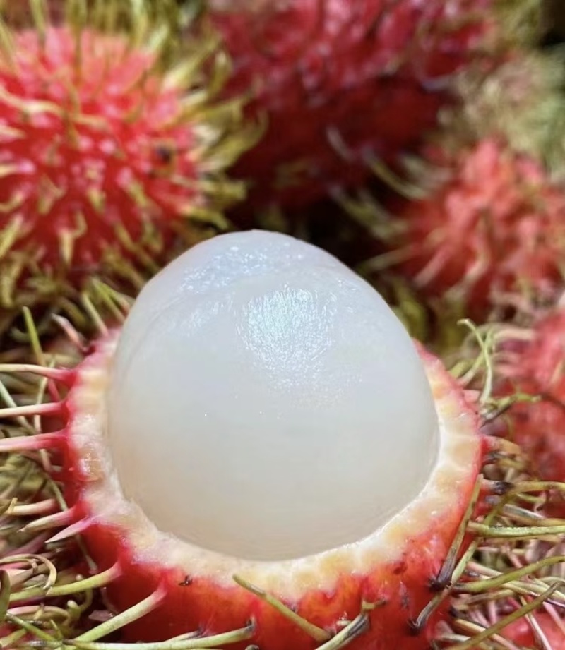 海南保亭红毛丹，有称为毛荔枝