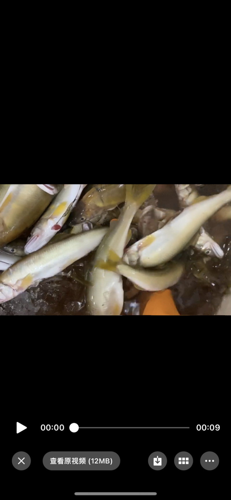 香鱼