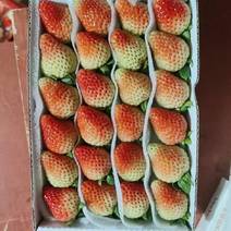 蒙特瑞草莓