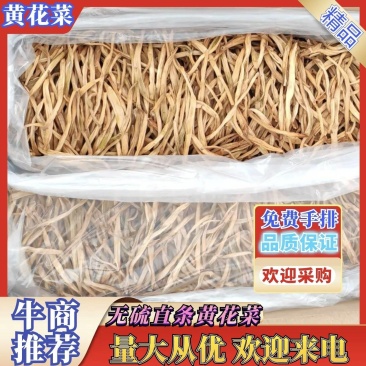免费手排无硫直条黄花菜货版一致量大从优欢迎来电洽谈