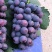 夏黑巨峰葡萄