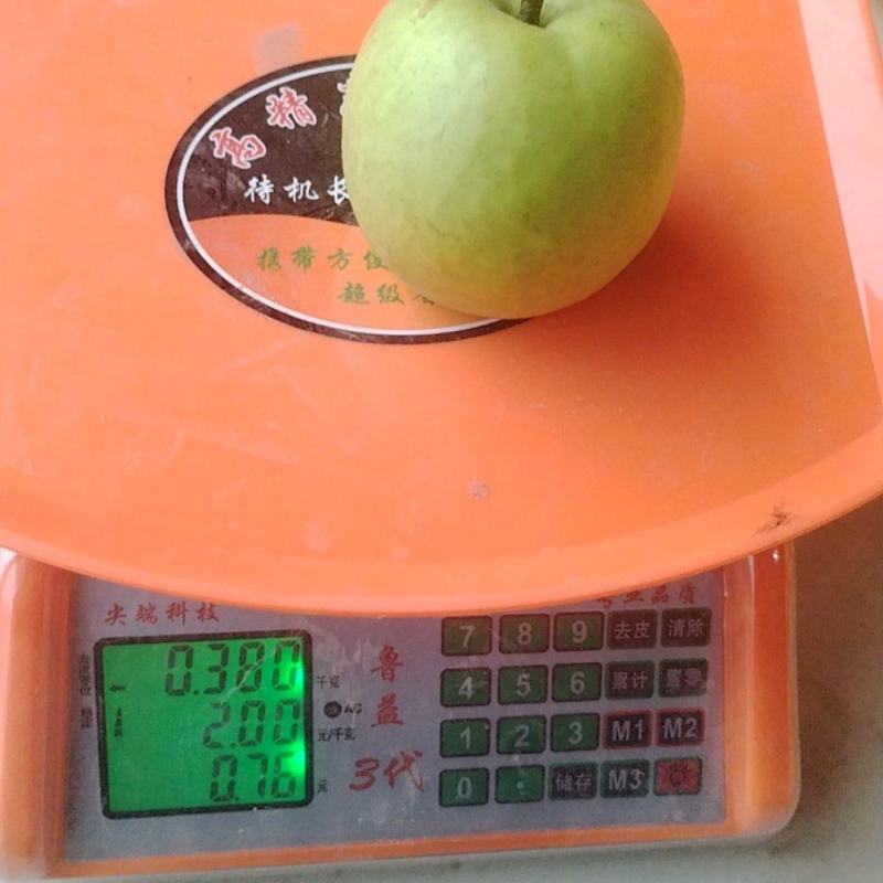 精品翠玉梨