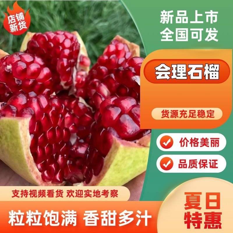 四川会理软子硬子代收，一手货源，产地直销，可视频看货