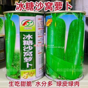 天津冰糖沙窝萝卜种子赛鸭梨甜脆水分多秋季绿皮绿肉水果萝卜
