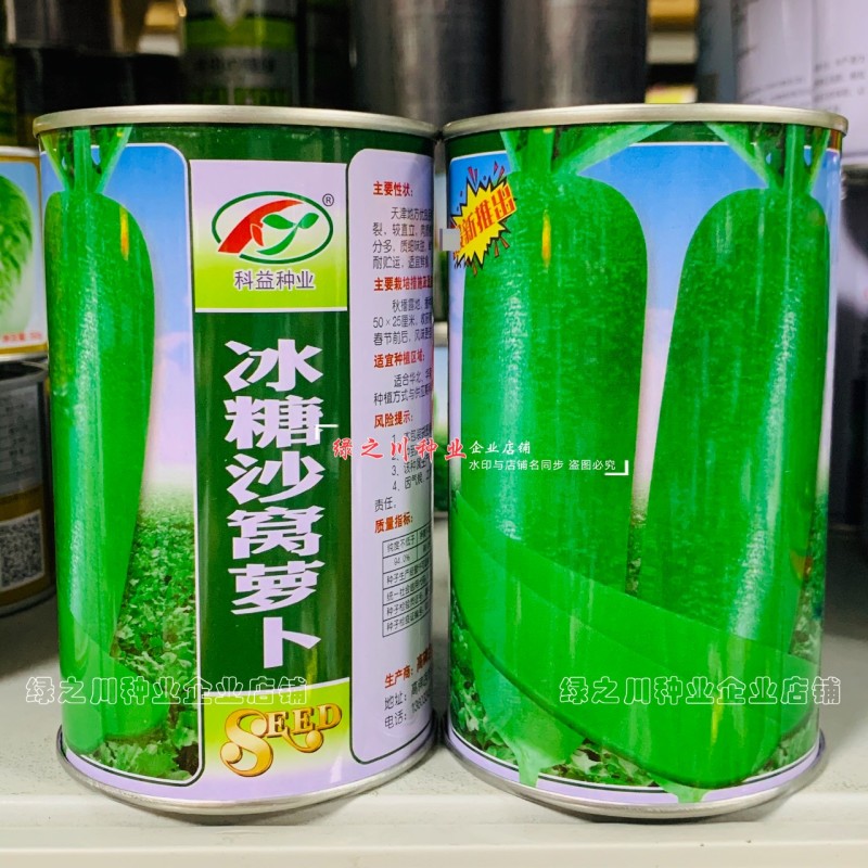 天津冰糖沙窝萝卜种子赛鸭梨甜脆水分多秋季绿皮绿肉水果萝卜