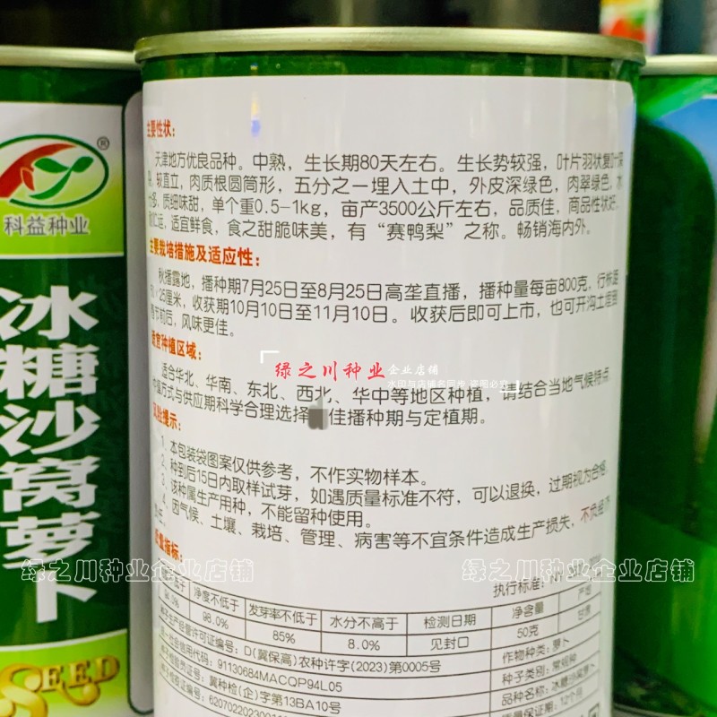 天津冰糖沙窝萝卜种子赛鸭梨甜脆水分多秋季绿皮绿肉水果萝卜