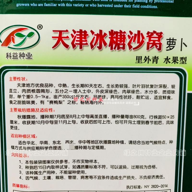 天津冰糖沙窝萝卜种子赛鸭梨甜脆水分多秋季绿皮绿肉水果萝卜