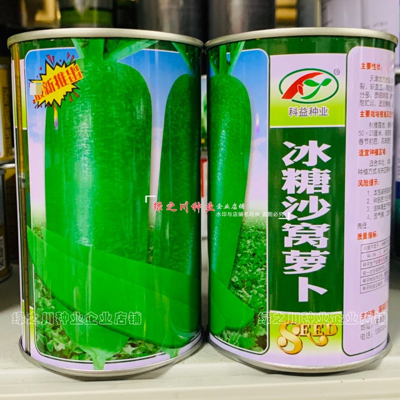 天津冰糖沙窝萝卜种子赛鸭梨甜脆水分多秋季绿皮绿肉水果萝卜