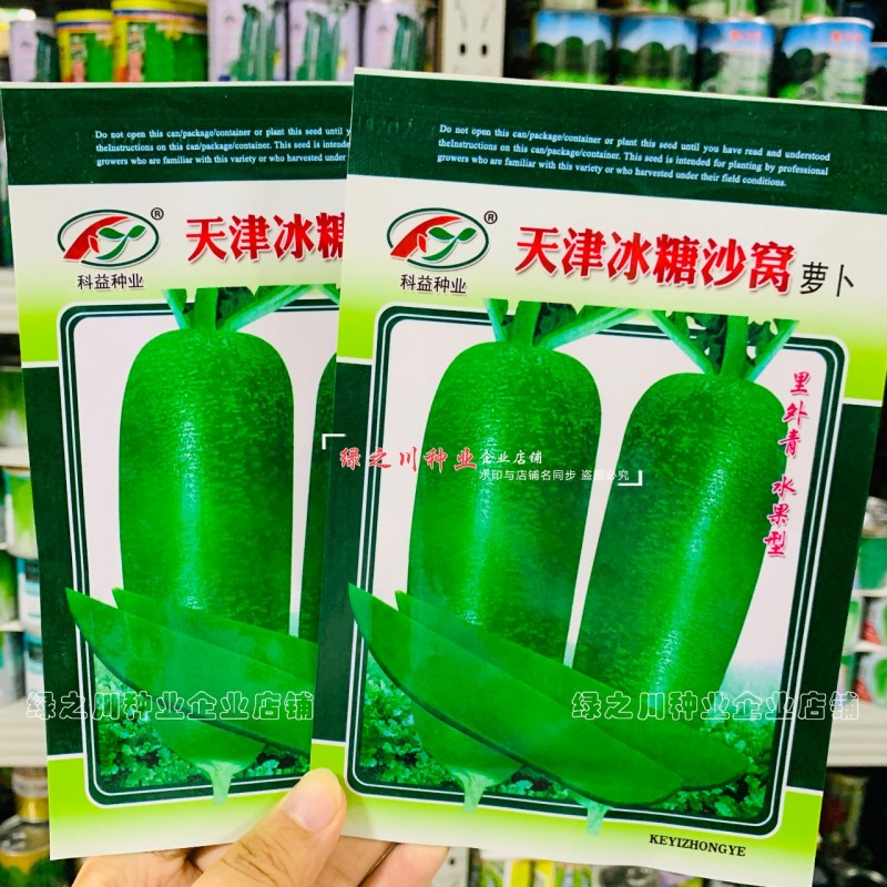天津冰糖沙窝萝卜种子赛鸭梨甜脆水分多秋季绿皮绿肉水果萝卜