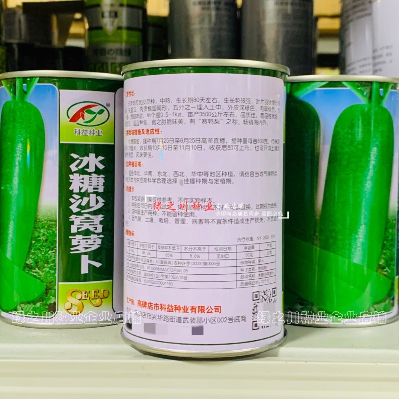 天津冰糖沙窝萝卜种子赛鸭梨甜脆水分多秋季绿皮绿肉水果萝卜
