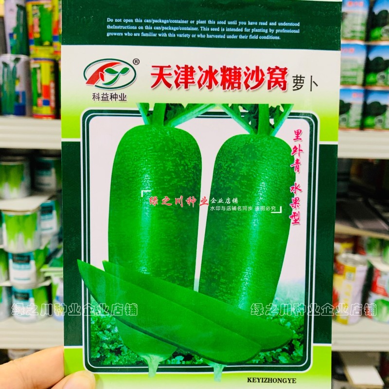 天津冰糖沙窝萝卜种子赛鸭梨甜脆水分多秋季绿皮绿肉水果萝卜