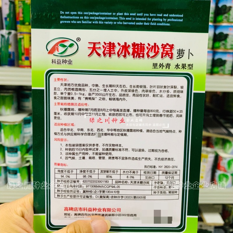 天津冰糖沙窝萝卜种子赛鸭梨甜脆水分多秋季绿皮绿肉水果萝卜