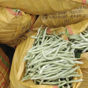 白优意