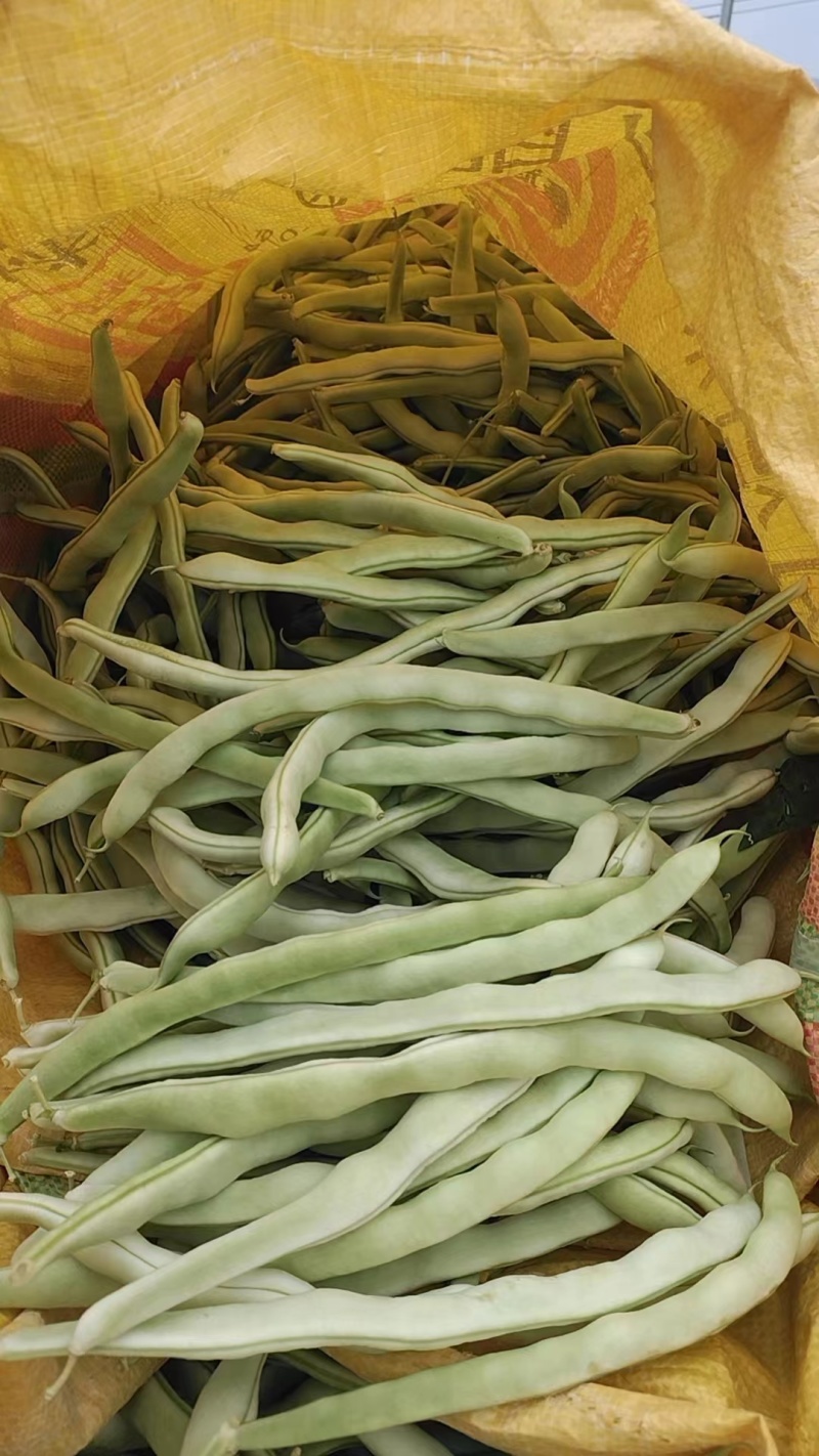 白优意