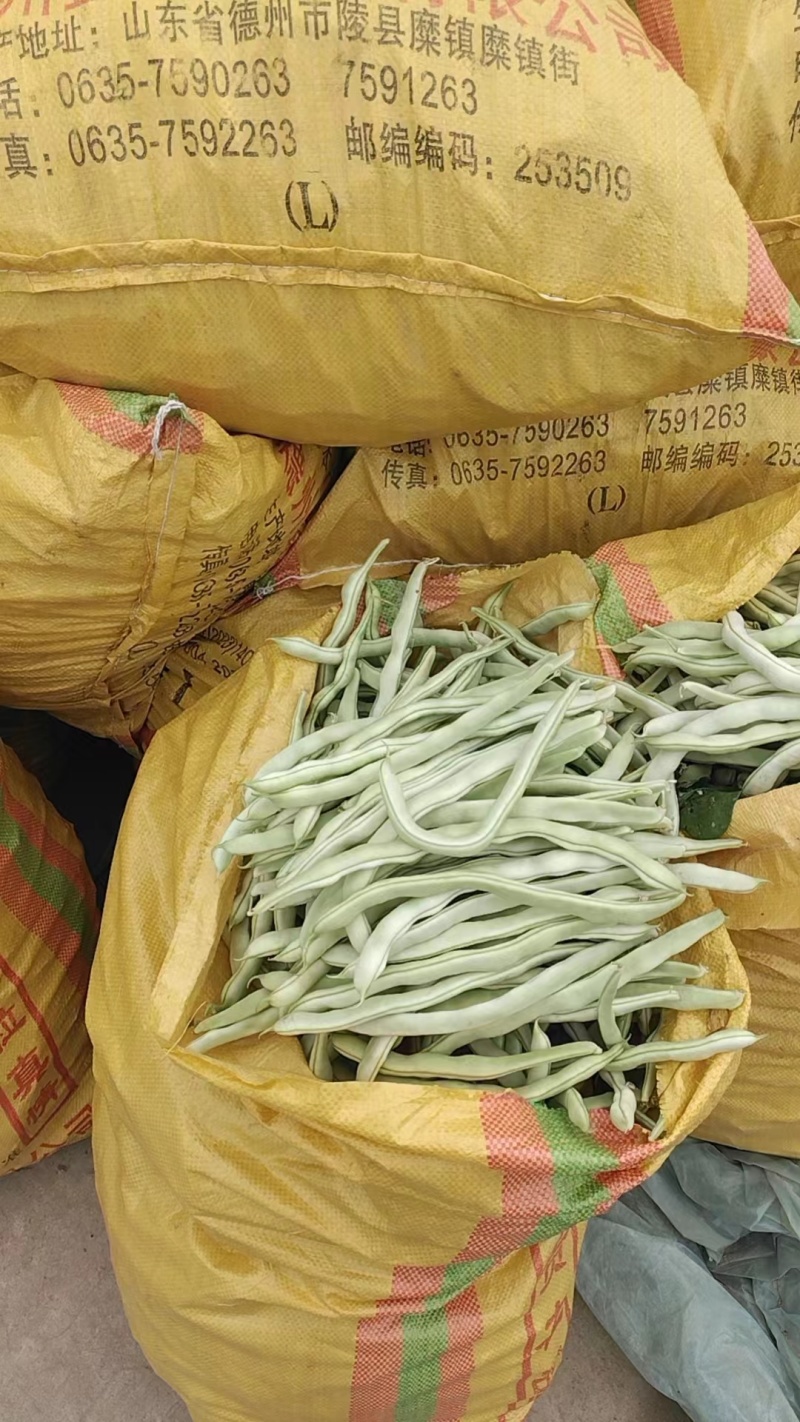 白优意