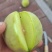 加工果，代收代发，代销代采