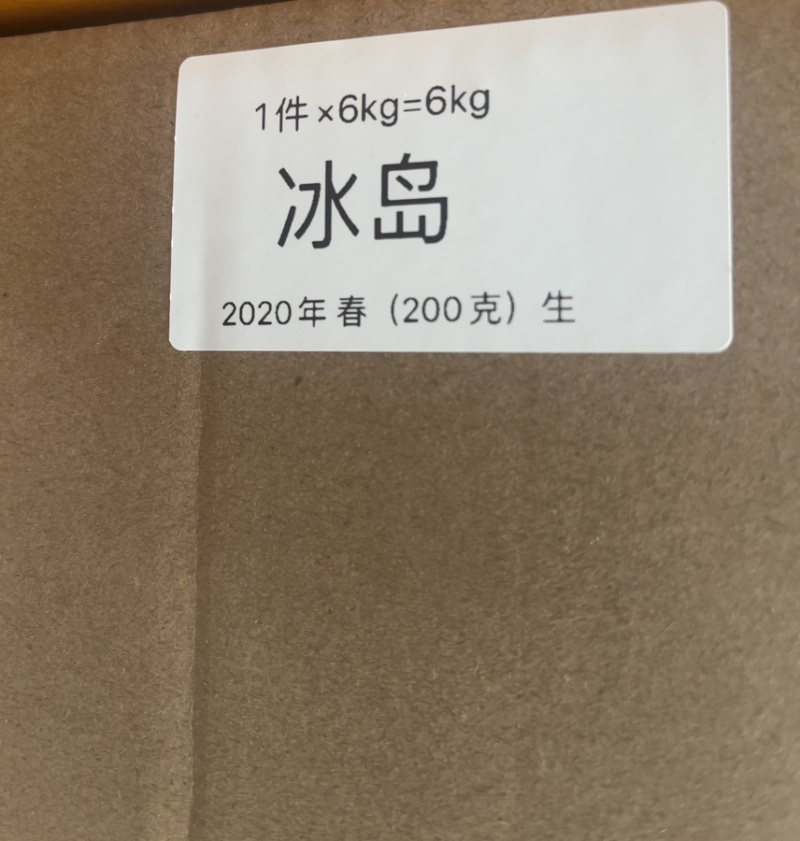 2020年冰岛老寨古树纯料200克