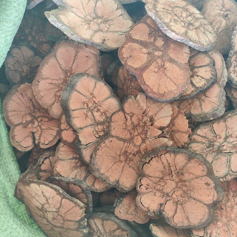 精品九龙藤产地现发价格优惠支持视频看货欢迎来电