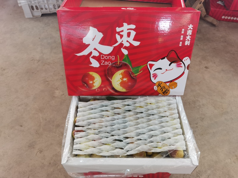 大荔冬枣大量上市对接电商社区团购批发市场出口贸易
