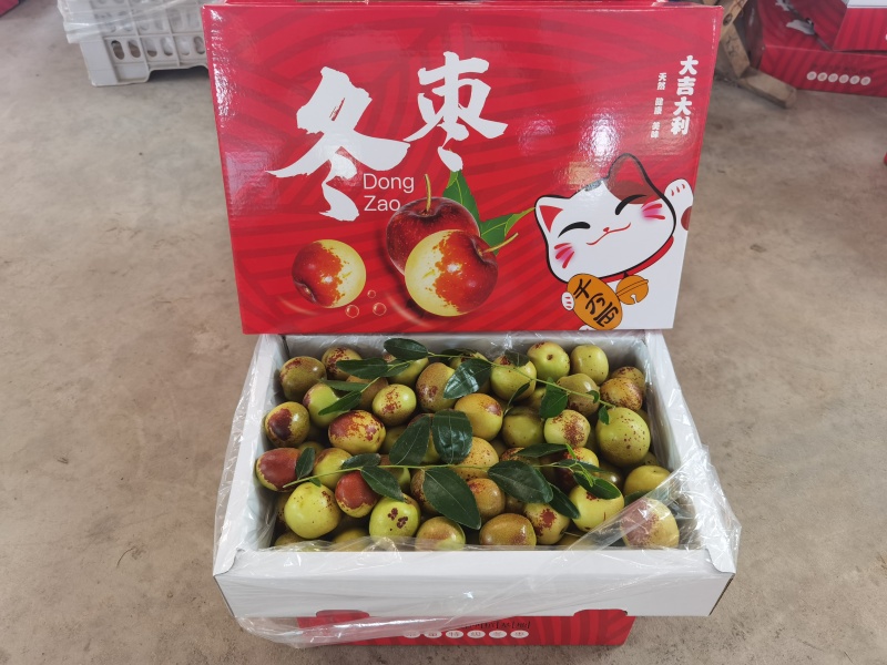 大荔冬枣大量上市对接电商社区团购批发市场出口贸易