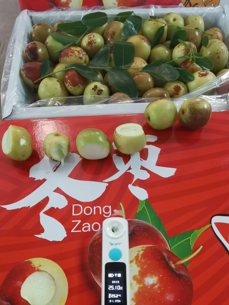 大荔冬枣大量上市对接电商社区团购批发市场出口贸易