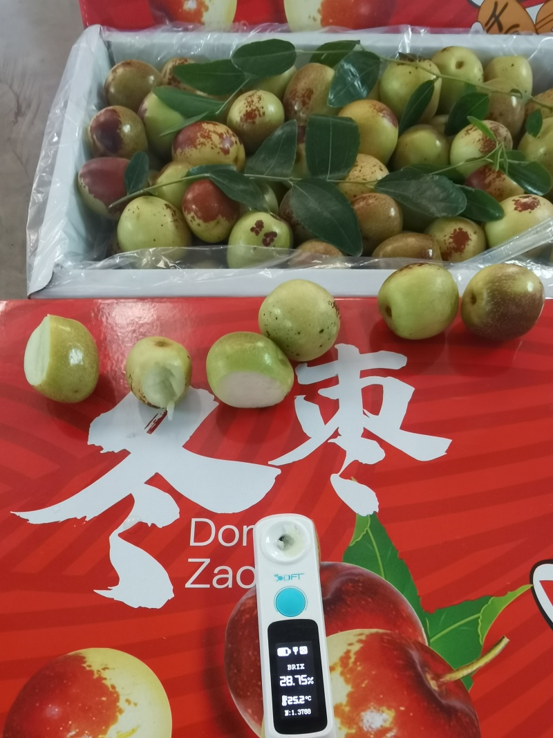 大荔冬枣大量上市对接电商社区团购批发市场出口贸易