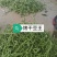 豆王无丝豆