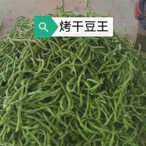 豆王无丝豆