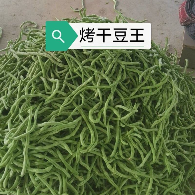 豆王无丝豆