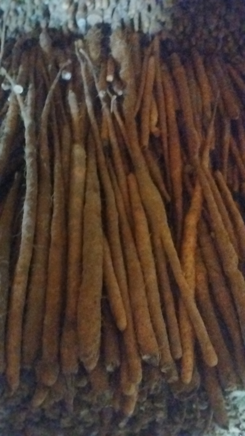 小白嘴山药，土货包装电商团购平台批发市场，量大从优