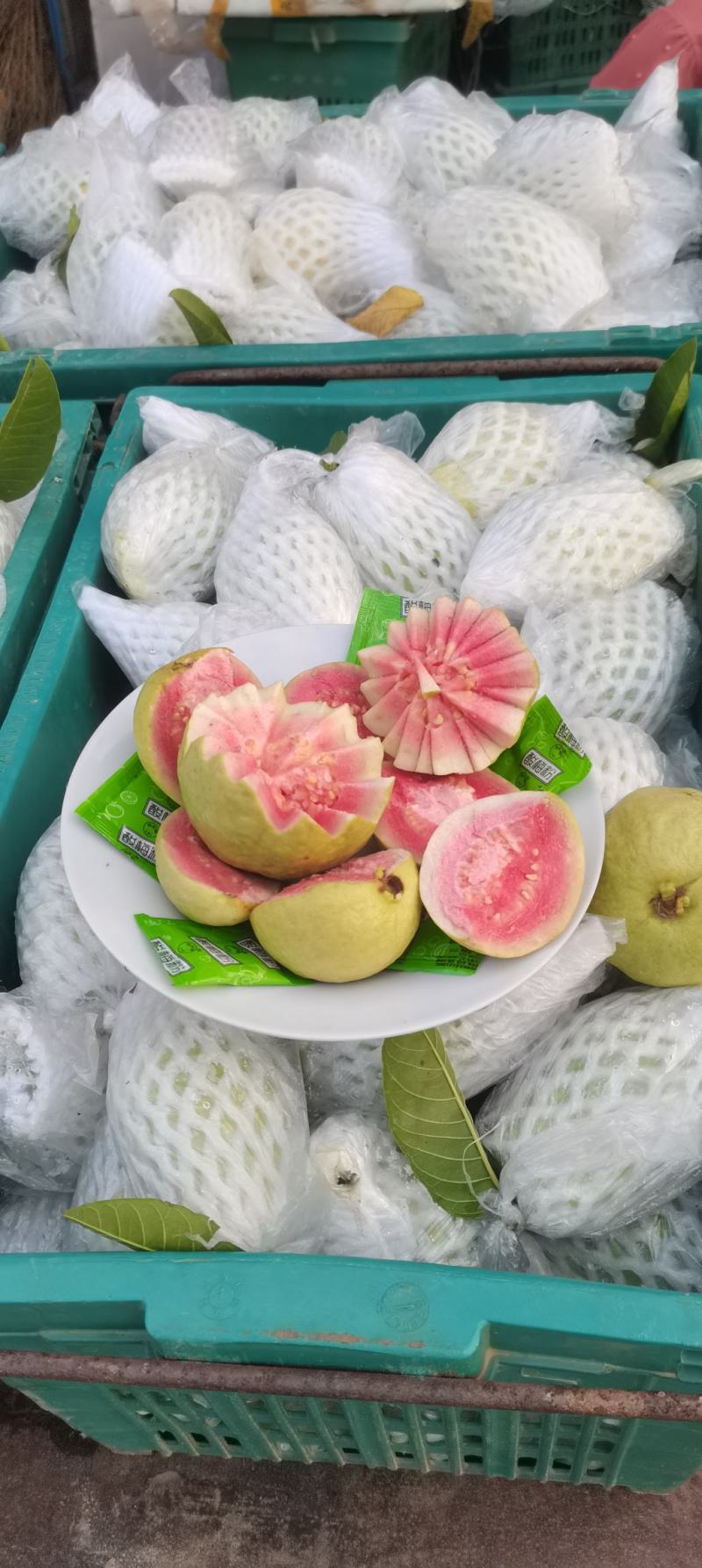 广西红心芭乐西瓜红，玉林产地直供，一手货源