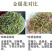 河南特级金银花大货批发非山东金银花湖南山银花