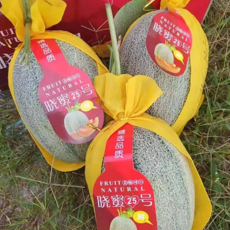 【推荐】精品西周蜜哈密瓜甜度高，价优，可看货欢迎