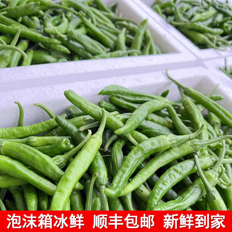 辣椒草莓椒余干椒产地一手货源，保质保量欢迎订购