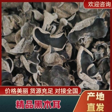 【2025】新东北原货木耳/黑木耳/秋木耳/餐饮商超电商