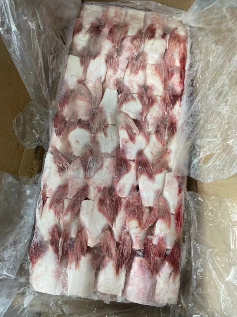 鱼鳍，一件20斤，自助火锅，烧烤，酒店，