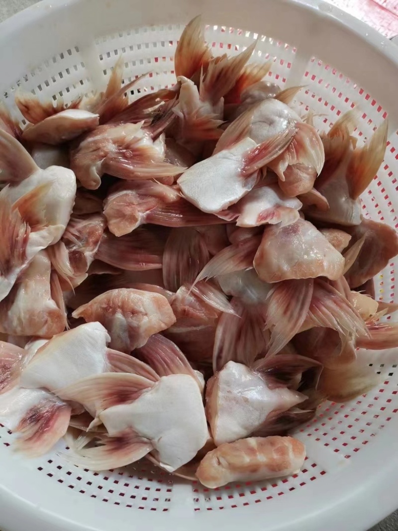 鱼鳍，一件20斤，自助火锅，烧烤，酒店，