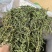 榭寄生细螃蟹脚，榭寄生宽螃蟹脚，茶树螃蟹脚。
