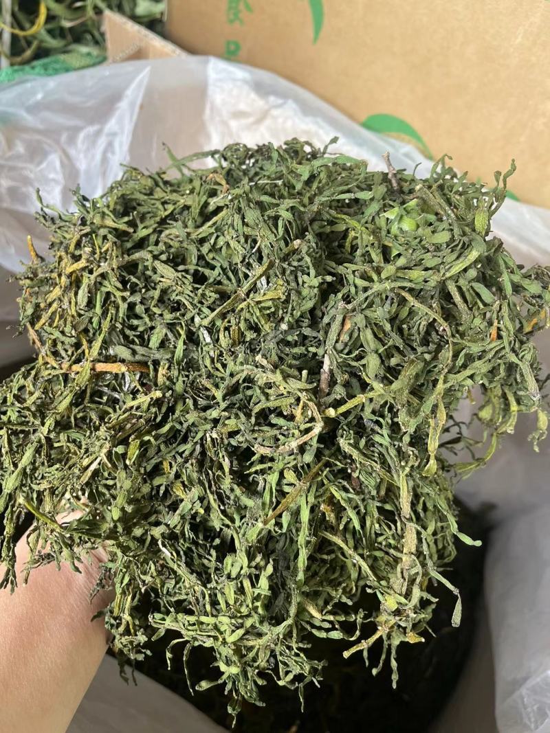 榭寄生细螃蟹脚，榭寄生宽螃蟹脚，茶树螃蟹脚。