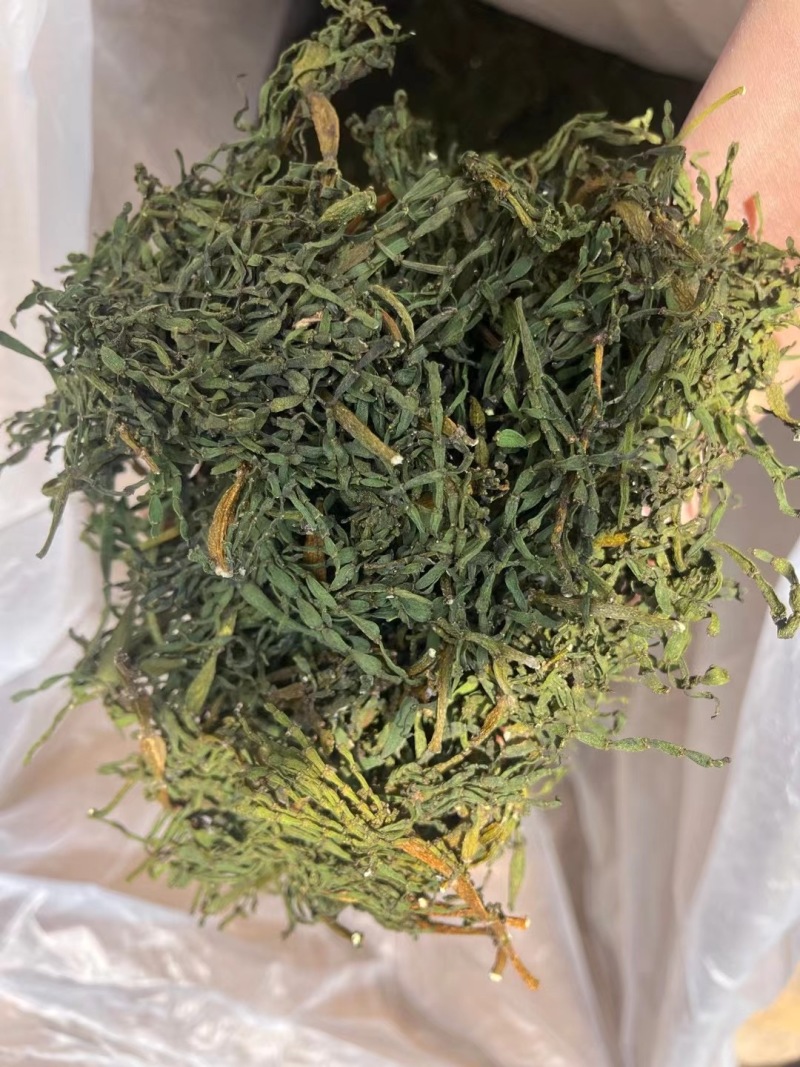 榭寄生细螃蟹脚，榭寄生宽螃蟹脚，茶树螃蟹脚。