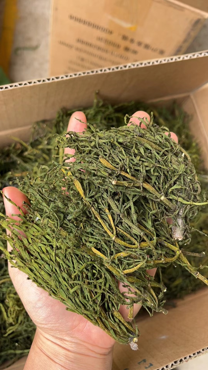 榭寄生细螃蟹脚，榭寄生宽螃蟹脚，茶树螃蟹脚。