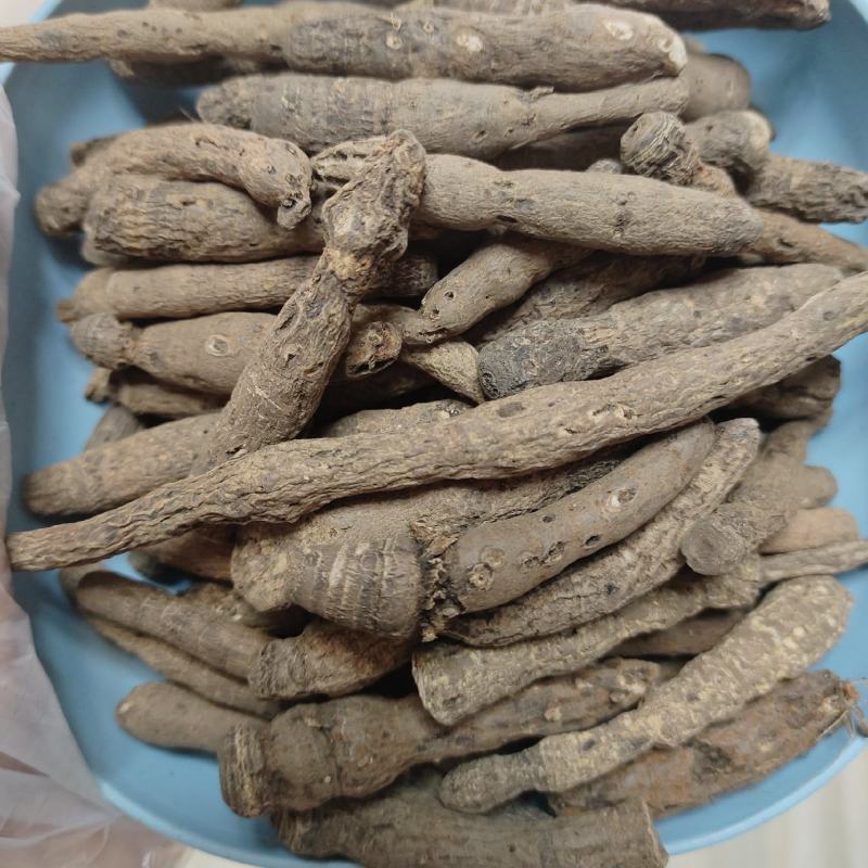 仙茅《野粽根》