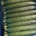 蜜刺黄瓜🥒黄瓜万亩黄瓜产地直发，可对接各大平台商超，