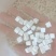一站式购齐茯苓全面规格货量充足价格实惠。