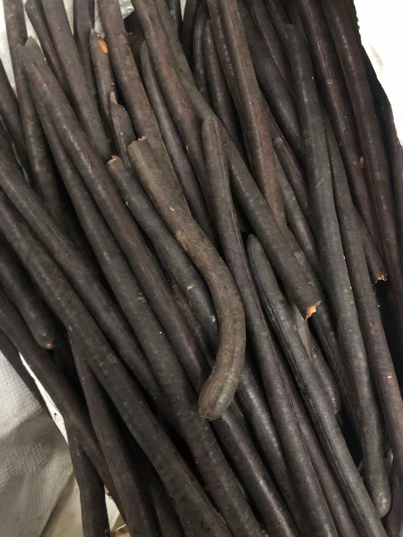 腊肠果便秘果大解果无虫便秘果整根便秘果