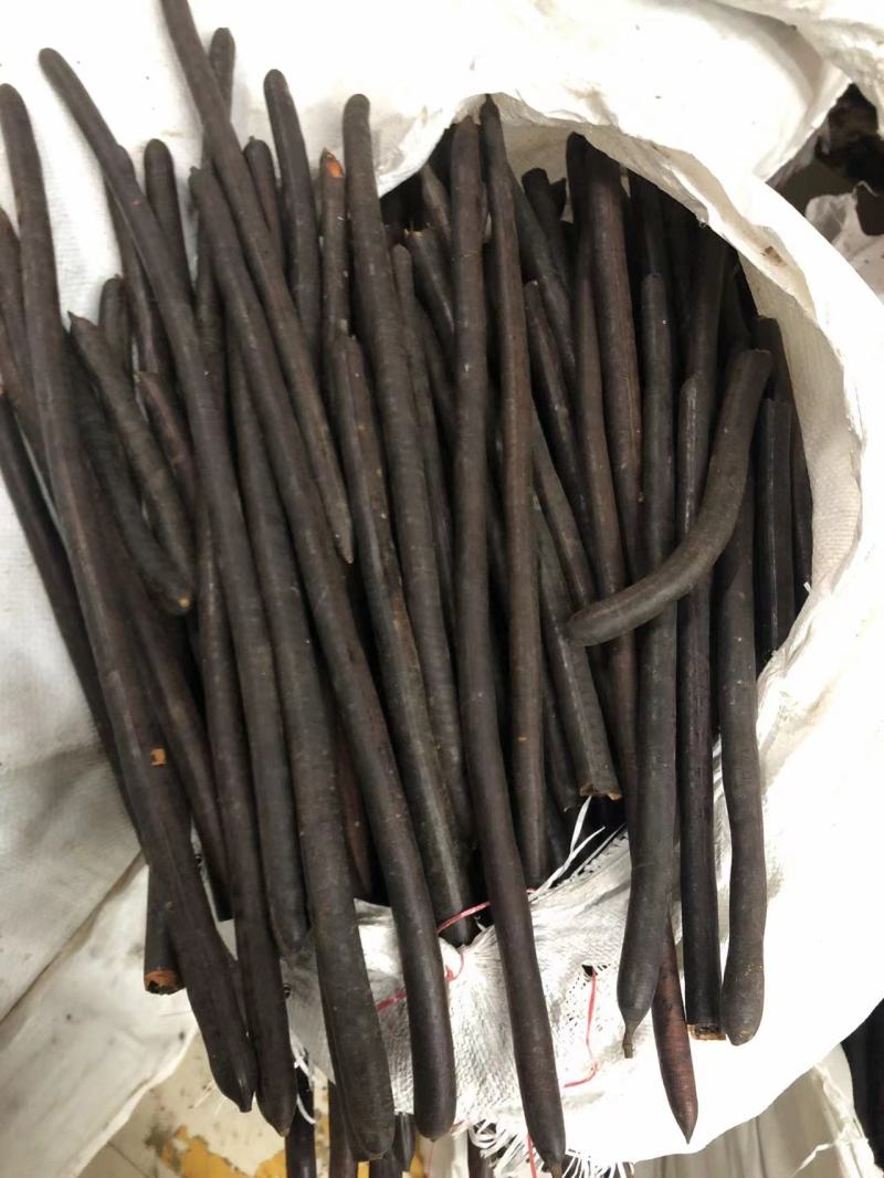 腊肠果便秘果大解果无虫便秘果整根便秘果