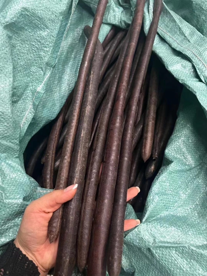 腊肠果便秘果大解果无虫便秘果整根便秘果