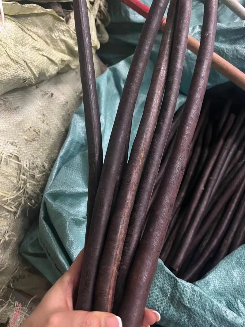 腊肠果便秘果大解果无虫便秘果整根便秘果