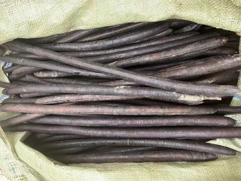 腊肠果便秘果大解果无虫便秘果整根便秘果